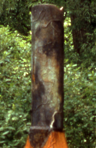 Heightend Body 2 detail